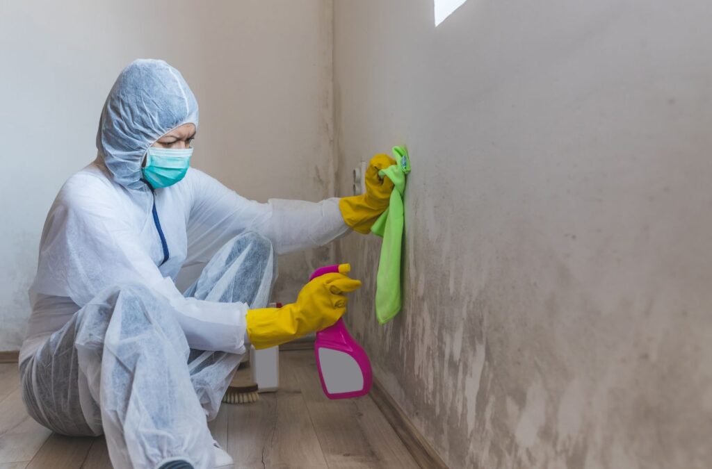 Edge Restoration professional discussing mold remediation plans with a client in Prescott Valley, AZ, showcasing the reasons to choose our expert services. Mold Remediation Near Me.